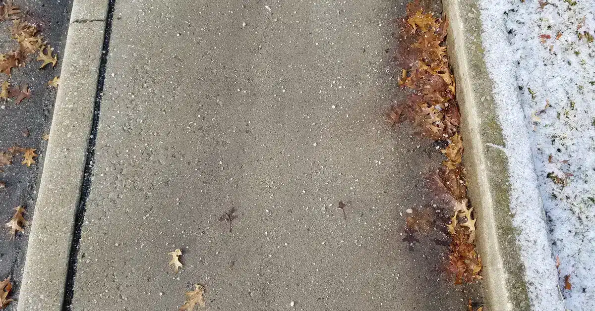 Concrete sidewalk pretreated with salt ahead of a freeze, with frost on the grass beside it, the kind of surface anti-icing in Chilliwack protects